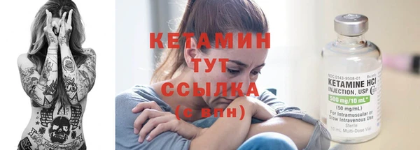 прущий лед Бородино