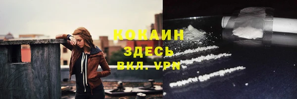 прущий лед Бородино