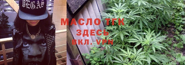прущий лед Бородино