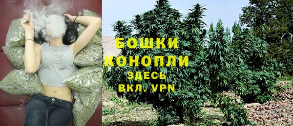 ПСИЛОЦИБИНОВЫЕ ГРИБЫ Богородск