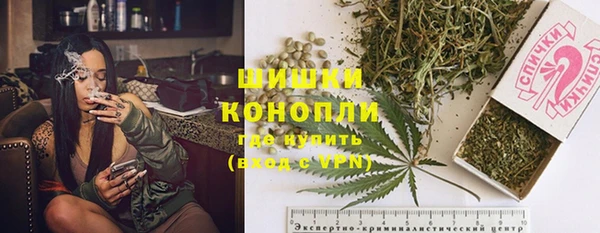 прущий лед Бородино