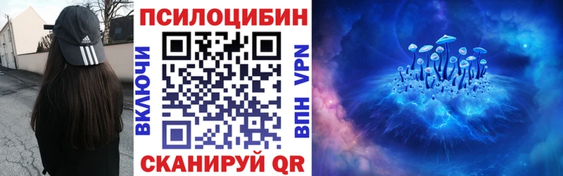 кракен ТОР Мегион Галлюциногенные грибы Psilocybe наркошоп